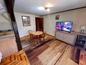 Televízia a/alebo spoločenská miestnosť v ubytovaní Apartamenty pokoje INA