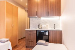 RVR Smart Apartments Riga with Free Parking and Self Check-in的厨房或小厨房