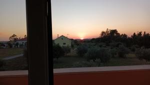 Afbeelding uit fotogalerij van Casa Londrino in Assanha da Paz +32 foto's