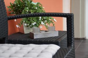 Fotografie z fotogalerie ubytování Weingut und Gästehaus Josef Reis v destinaci Mehring