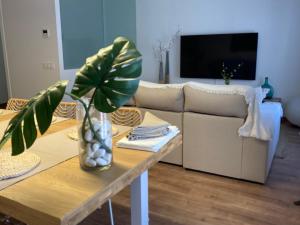 A television and/or entertainment centre at Apartamento céntrico, climatizado y totalmente equipado de 3 habitaciones para 6-7 personas
