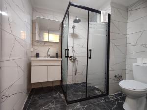 a bathroom with a shower and a toilet at Valentina Apart Hotel in Istanbul +17 photos