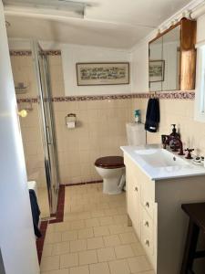 a bathroom with a toilet and a sink and a shower at Copper Mine Cottage in Burra +73 photos