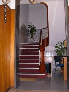 um corredor com uma escada com um vaso de plantas em Olhos Pretos em Caldas da Rainha