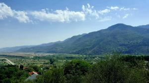 Billede fra billedgalleriet på Mountaintop hostel apartments - Hostel Kvish^Khedi i K'vishkhet'i