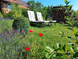 Zahrada ubytování Loft Eifel Idylle