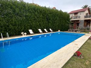 a swimming pool with lounge chairs next to a house at Jasmin Holiday House in Alexandria