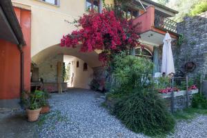 Zahrada ubytování Il Borgo della Colomba