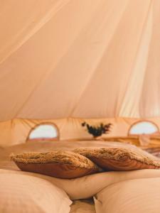 Gallery image of Glamping Spiritul Pădurii in Zizin +37 photos