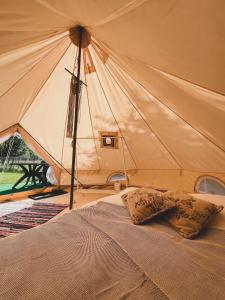 Gallery image of Glamping Spiritul Pădurii in Zizin