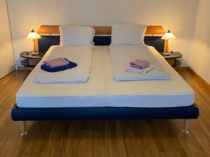Postel nebo postele na pokoji v ubytování Ferientraum direkt am Thunersee