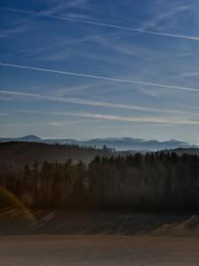 LubomierzRajskie Jabłka - azyl dla dorosłych的相册照片