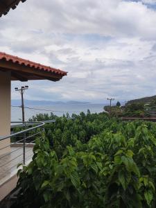 a view of a garden with the ocean in the background at Sesi in Grammatiko