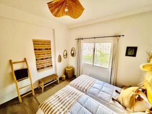 une chambre avec un chien allongé sur un lit dans l'établissement Beldi Chic vue Mer - Taghazout, à Agadir nʼ Aït Sa