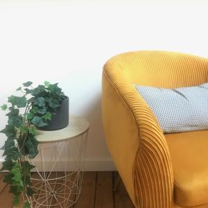a yellow chair and a plant on a side table at La Galerie, Et Pop Et Chic ! in Poitiers