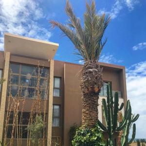 a palm tree in front of a building at Immi in Agadir