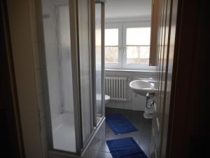 a bathroom with a shower and a sink and a toilet at Ferienhof Bisdorf "Windmühle" in Bisdorf