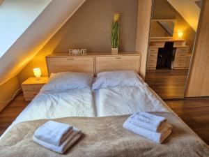 Postel nebo postele na pokoji v ubytování B&B Penzión Magura