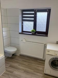 クルジュ・ナポカにあるVilla green forestのバスルーム(トイレ、洗濯機付)