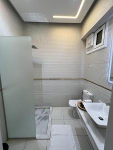 un bagno con lavandino e WC di Ideal studio in villa 255 panafig 11 private villa in 5th settelment in New Cairo a Il Cairo Altre 37 foto