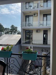 Gallery image of Guest House Leonardo in K'obulet'i