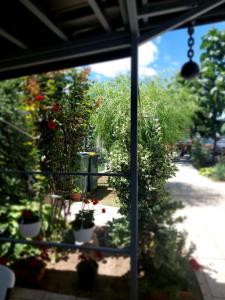 Зображення з фотогалереї помешкання Casa Inna Venus у місті Венус