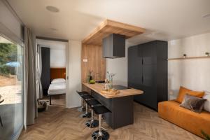 a kitchen and living room with a counter and a bed at Terra Park Phalaris in Novalja