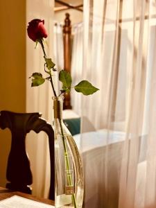 Fotografie z fotogalerie ubytování Quarto dos Vinhos v destinaci São Roque + 13 fotografií