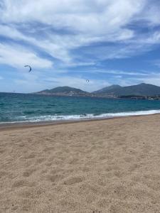 dos pájaros volando sobre el océano en una playa en Le hameau des pins, en Boulouris-sur-Mer