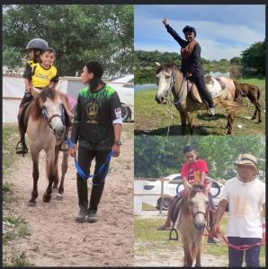 a collage of images of people riding a horse at Saujana Homestay Perak in Seri Iskandar +12 photos