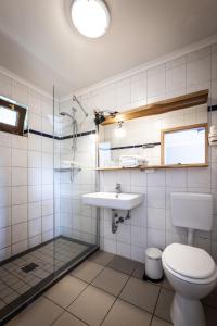 a bathroom with a toilet and a sink at Superior Doppelzimmer 1-2 Personen in Bastorf