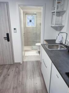 a bathroom with a shower and a sink and a toilet at Tilka`s house in Blejska Dobrava +36 photos