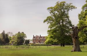 a tree in a field with a building in the background at New Park Manor Hotel - A Luxury Family Hotel in Brockenhurst