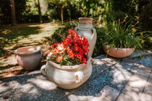 A garden outside Italian Experience-Villa Millefiori