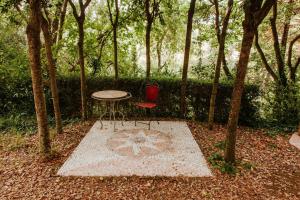 A garden outside Italian Experience-Villa Millefiori