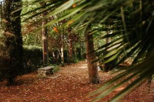 A garden outside Italian Experience-Villa Millefiori