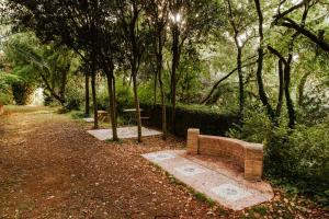 A garden outside Italian Experience-Villa Millefiori