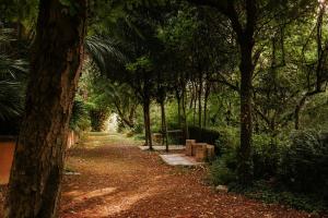 A garden outside Italian Experience-Villa Millefiori
