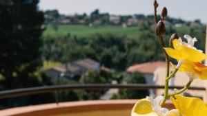 Foto sihtkohas Numana asuva majutusasutuse Italian Experience-Numana Suite Apartment galeriist