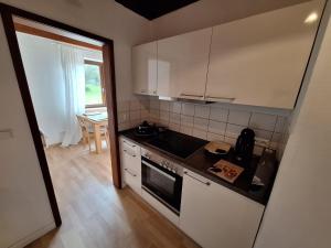 Kuchyň nebo kuchyňský kout v ubytování Ferienchalet Hechingen + 6 fotografií