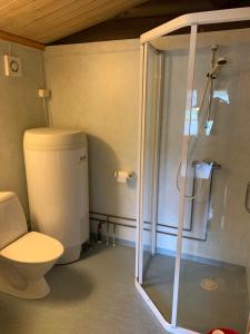 a bathroom with a toilet and a glass shower at Buøy Camping in Dalen