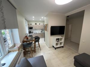 Kuchyň nebo kuchyňský kout v ubytování Apartment Jõesuu