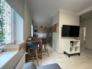 TV a/nebo společenská místnost v ubytování Apartment Jõesuu