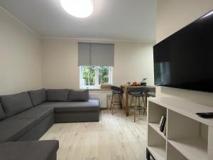 TV a/nebo společenská místnost v ubytování Apartment Jõesuu