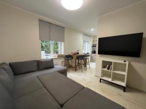 TV a/nebo společenská místnost v ubytování Apartment Jõesuu