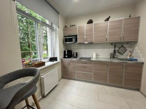 Kuchyň nebo kuchyňský kout v ubytování Apartment Jõesuu