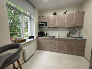 Kuchyň nebo kuchyňský kout v ubytování Apartment Jõesuu