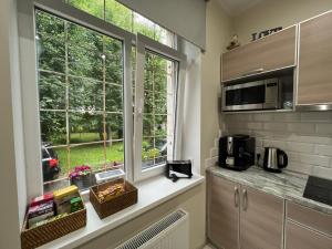 Kuchyň nebo kuchyňský kout v ubytování Apartment Jõesuu