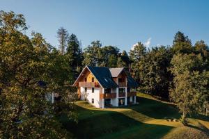 an aerial view of a house in the woods at Mlino Alpino in Bled