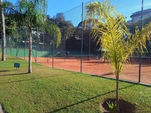 a palm tree sitting on a tennis court at Itaipava Petropolis Granja Brasil Solar das Begonias in Petrópolis
